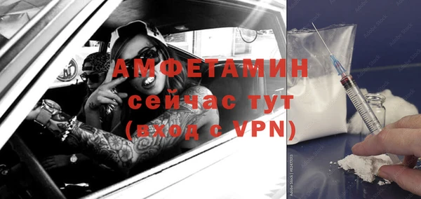 прущие крисы Ельня