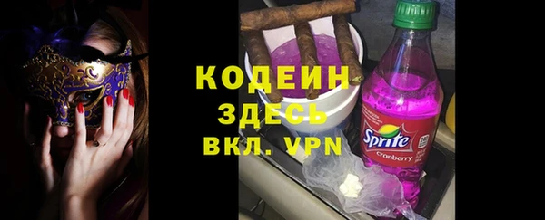 прущие крисы Ельня