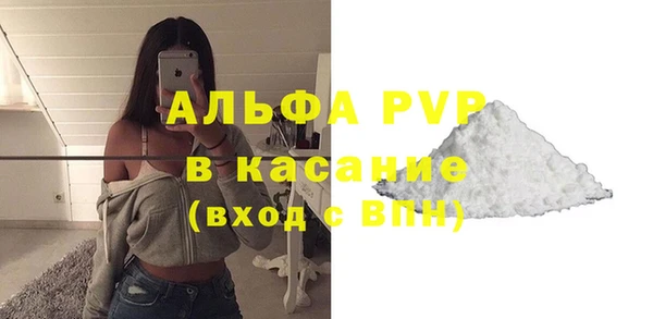 прущие крисы Ельня