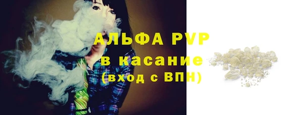 прущие крисы Ельня