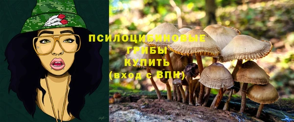 прущие крисы Ельня