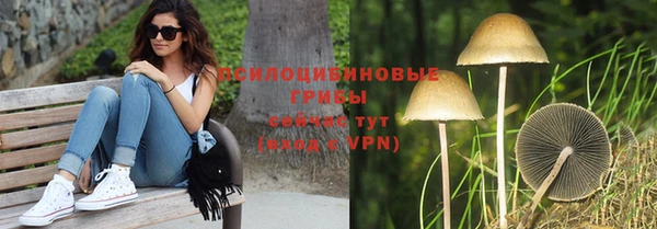 герыч Елабуга