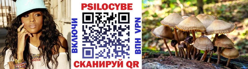Псилоцибиновые грибы ЛСД где можно купить hydra как войти Назрань